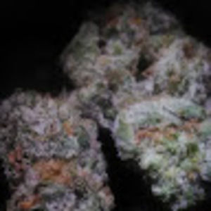 Meet your Posher, Rolando